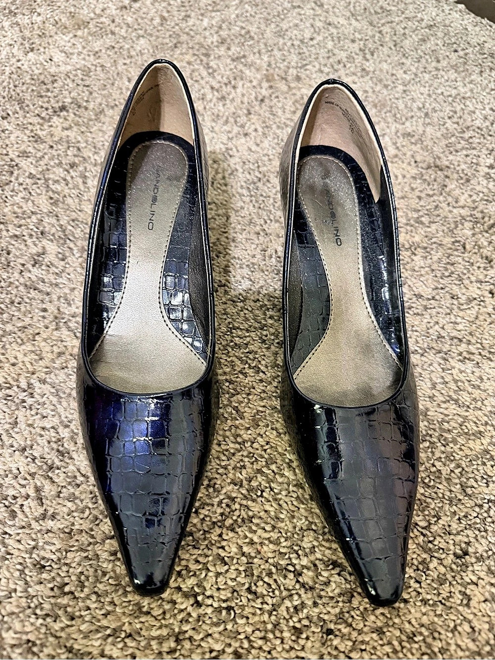 Bandolino Pointed Toe Croc-Embossed Heels in Blue